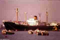 انقر للحصول على حجم اكبر